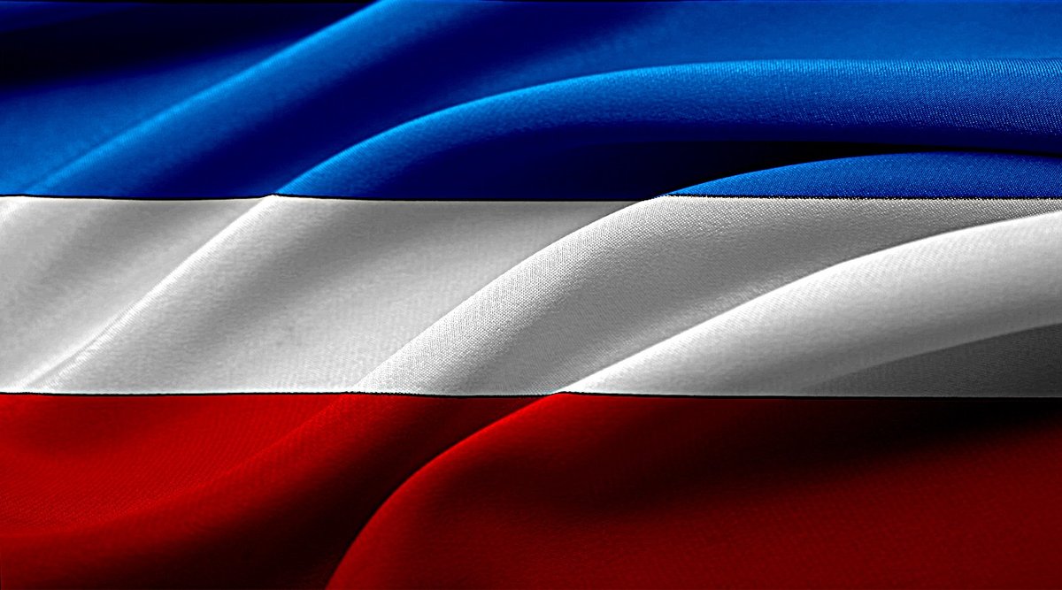 Bandera institucional